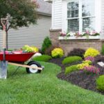 9 Small Front Yard Landscaping Ide