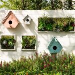 10 Best Home Garden Ideas To Enhance The Beauty of Home Gard