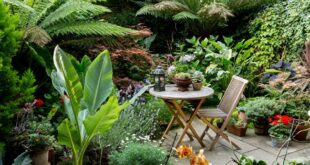 30 Small Garden Design Ideas | BBC Gardeners World Magazi