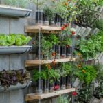 25 Budget Garden Ideas | BBC Gardeners World Magazi