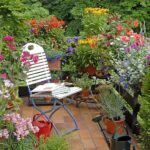 Gardening ideas for balconies, patios & courtyards - Sa