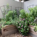 Small Garden Design Ideas • Gardena