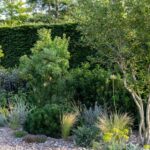 30 Small Garden Design Ideas | BBC Gardeners World Magazi