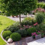 small tree | Garden design, Small gardens, Front yard landscapi