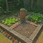 Growing Vegetables in Small Spaces - Gingham Garde