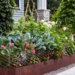 Small Vegetable Garden Ideas | Garden Ga