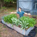 Small-scale, intensive home vegetable production – Florida Fruit Ge