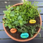 Create a Mother's Day Mini Herb Garden | Marin Mommi