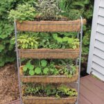 Clever Vertical Herb Gardens That Will Grow a LOT of Herbs in a .