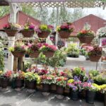 How to Choose Outdoor Plants for a Small Patio - Wolff's Apple Hou