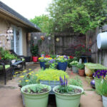 Patio Gardening 101 · Cozy Little Hou