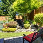 6 Trees That Are Perfect for Small Backyards - Treesca