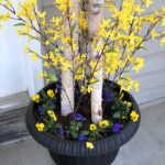 Easy 5 Minute Spring Porch Pot Refresh - House of Hawthorn