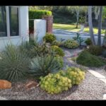 Design Ideas from an Award-Winning Succulent Garden - YouTu