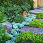 59 Catchy Outdoor Succulent Garden Ideas - DigsDi