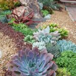 59 Catchy Outdoor Succulent Garden Ideas - DigsDi