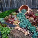 30 Succulent Garden Ideas for Small Spaces: Stunning Planter and .