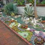 How to Plant an Outdoor Succulent Garden - World of Succulen