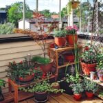 How you can start a balcony garde
