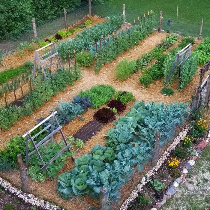 Fresh and creative vegetable garden inspiration