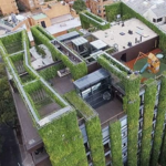Vertical gardens: Wellness oases in the urban jung