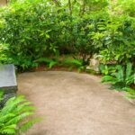Zen Garden Ideas: How to Create Your Own Zen Garden | Garden Desi